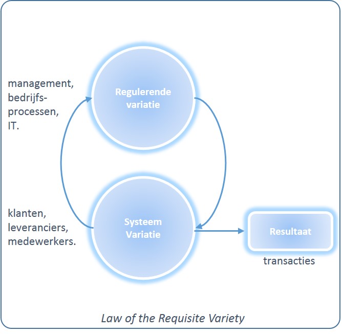 Law of the Requisite Variety, minder maatwerk in ERP