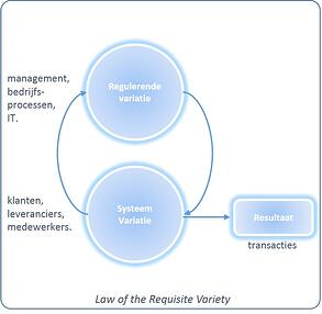 Law of the Requisite Variety, minder maatwerk in ERP