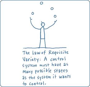 Law of the Requisite Variety